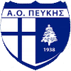 AO佩乌吉斯logo