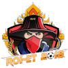罗埃2018