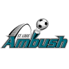 圣路易斯伏击
