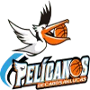 鹈鹕CSLlogo