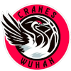武汉女篮U21