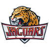 印第安那波利斯logo